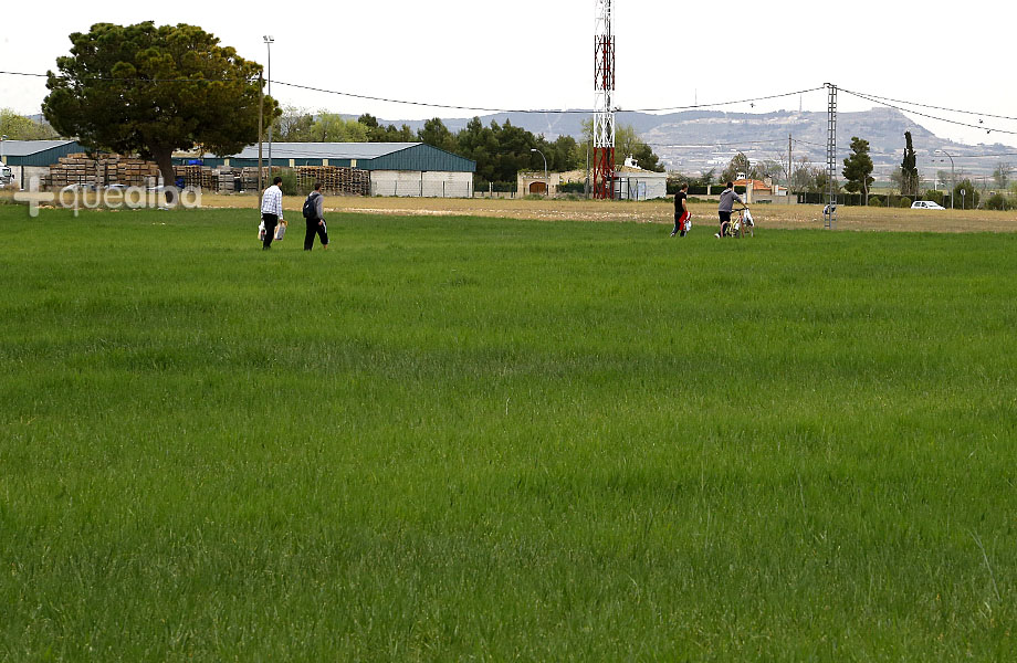 imagenes-semana-albacete-hierba-alta-2d5