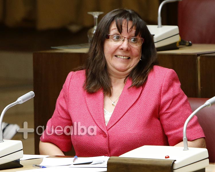 Pleno de mayo del  Ayuntamiento Albacete. Victoria Delicado concejal IU