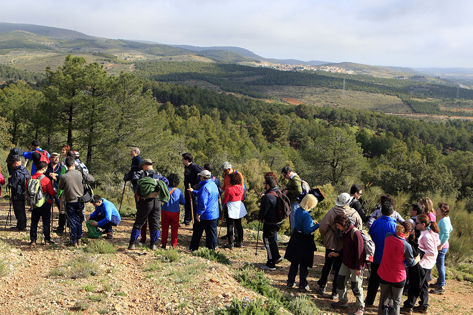 San_pedro_la_Mancha_press_02