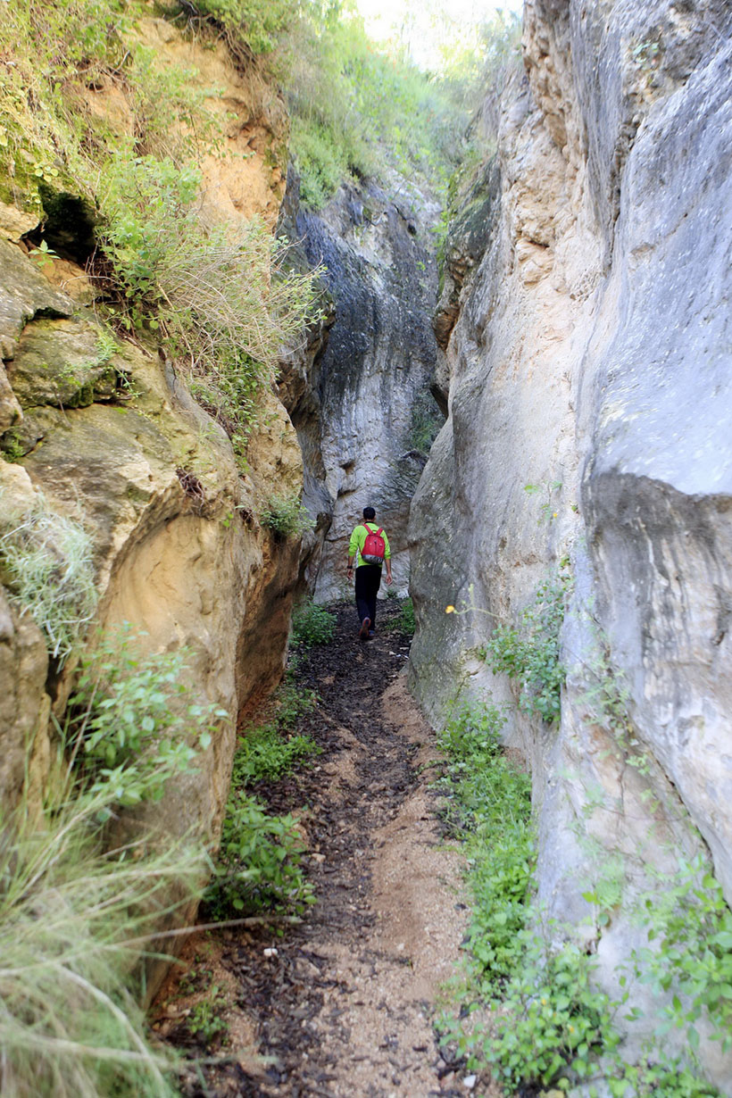 Elche_de_la_Sierra_03