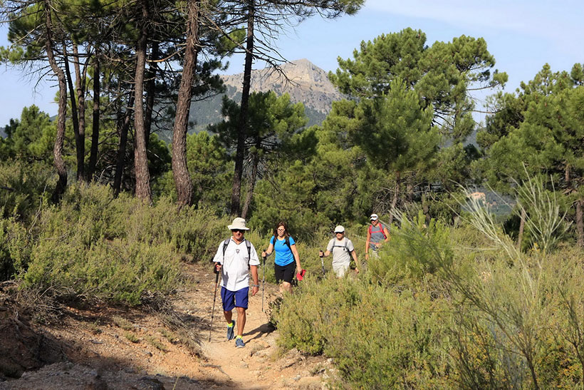 Villaverde_Guadalimar_03