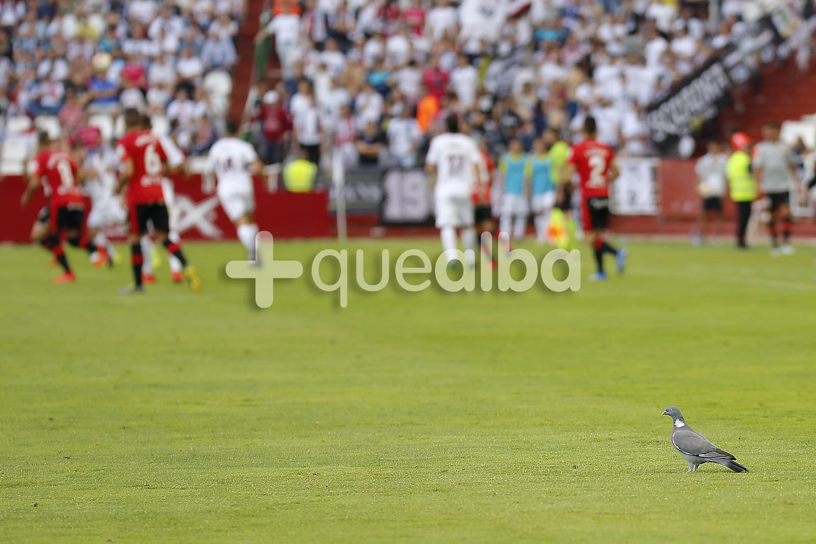 imagenes-albacete-mallorca-playoff-35