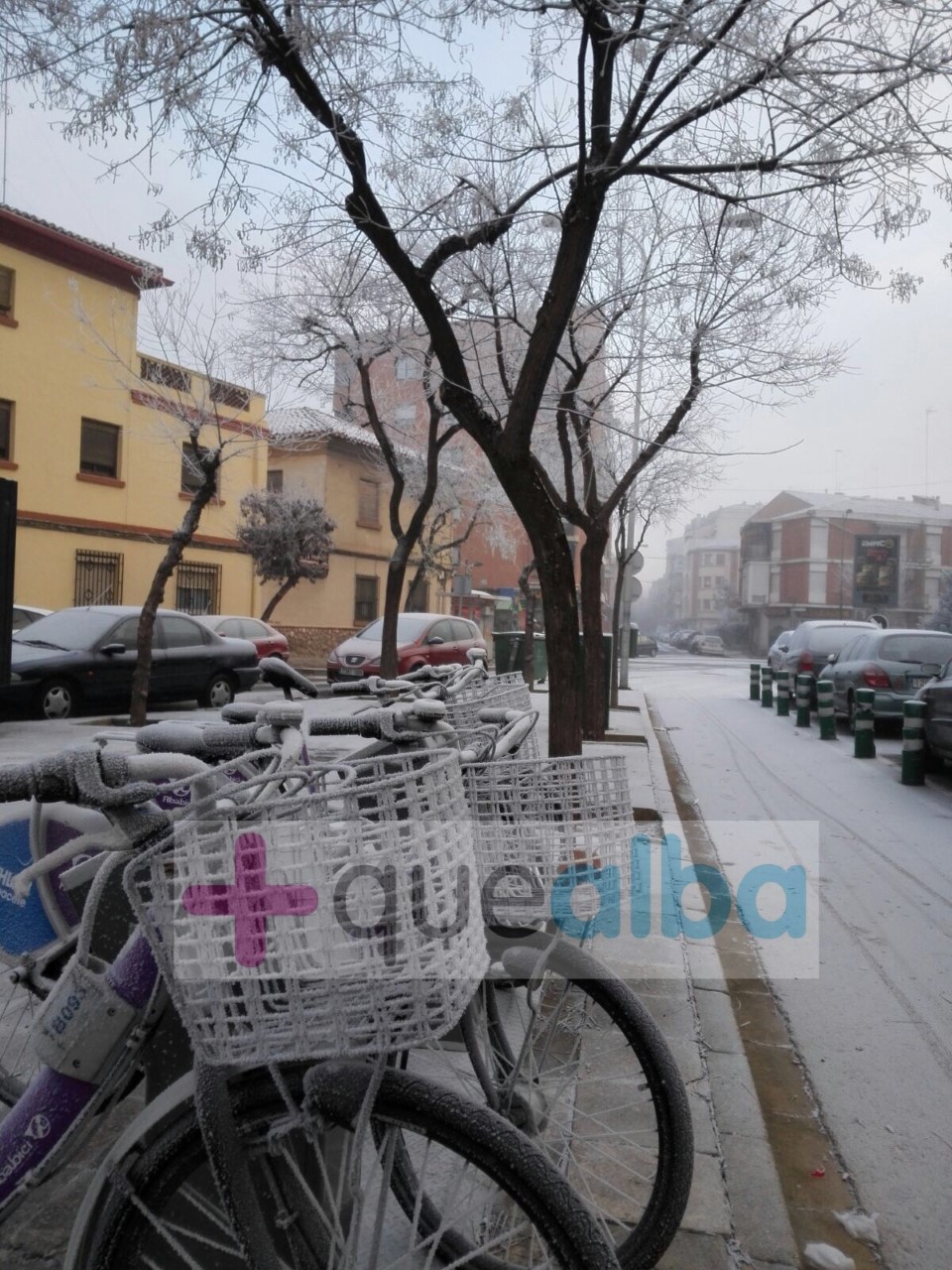 Imagen de archivo de una de las heladas más importantes, en la ciudad de Albacete, de los últimos años.