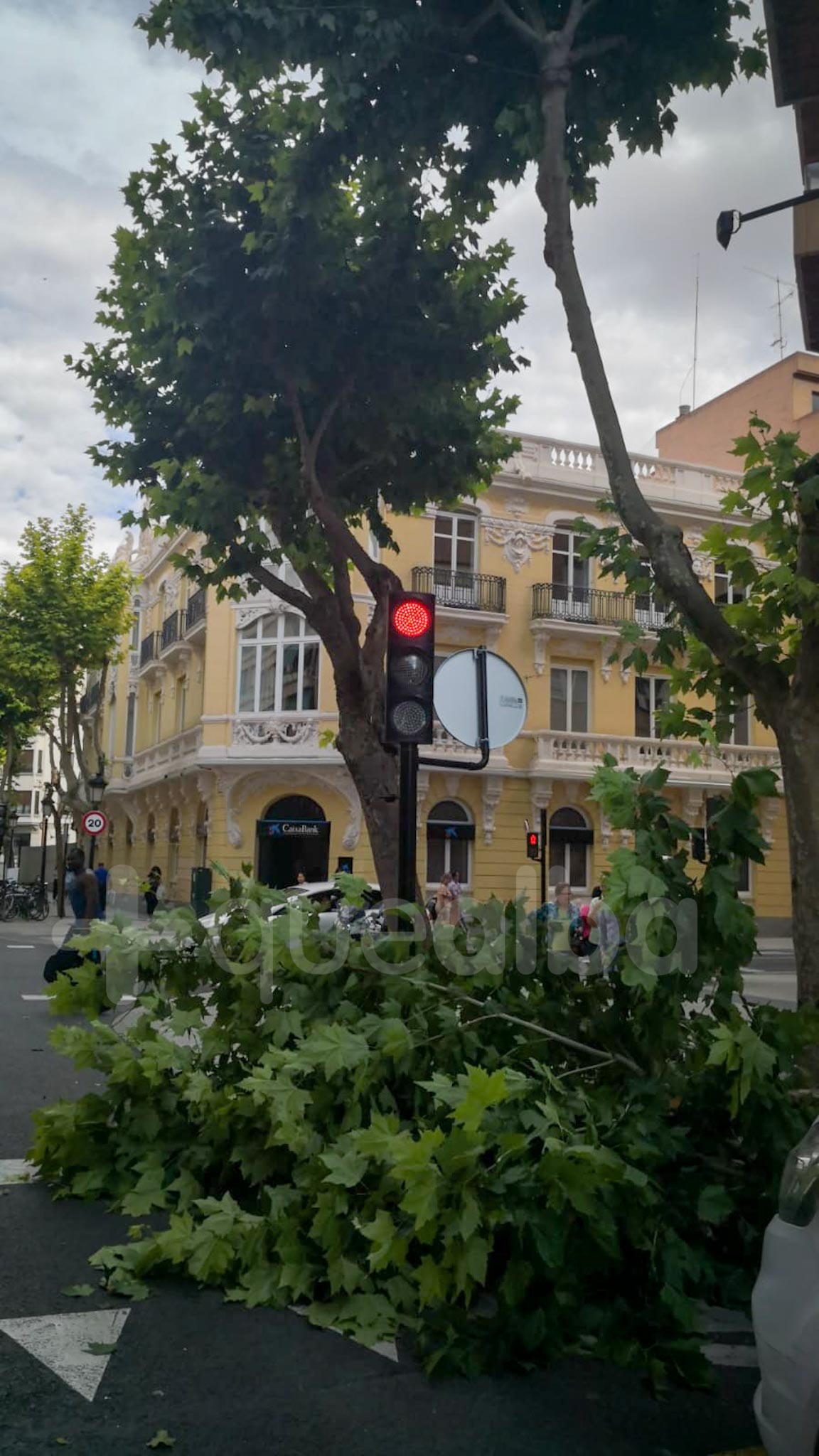 PACO LÓPEZ