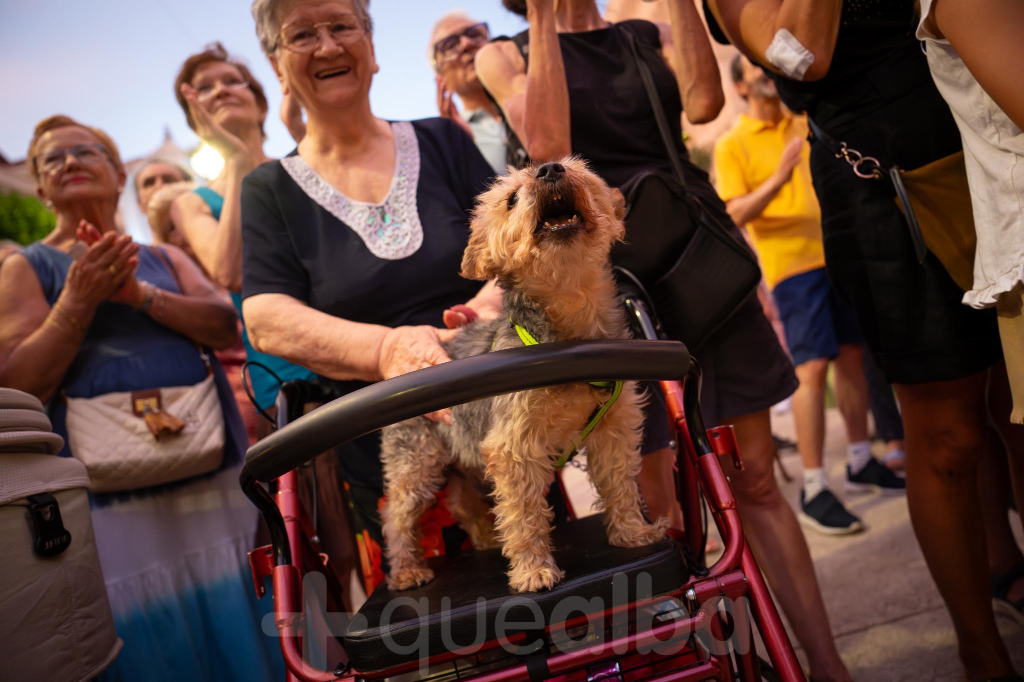 Circ_Pistolet-Albacete-042