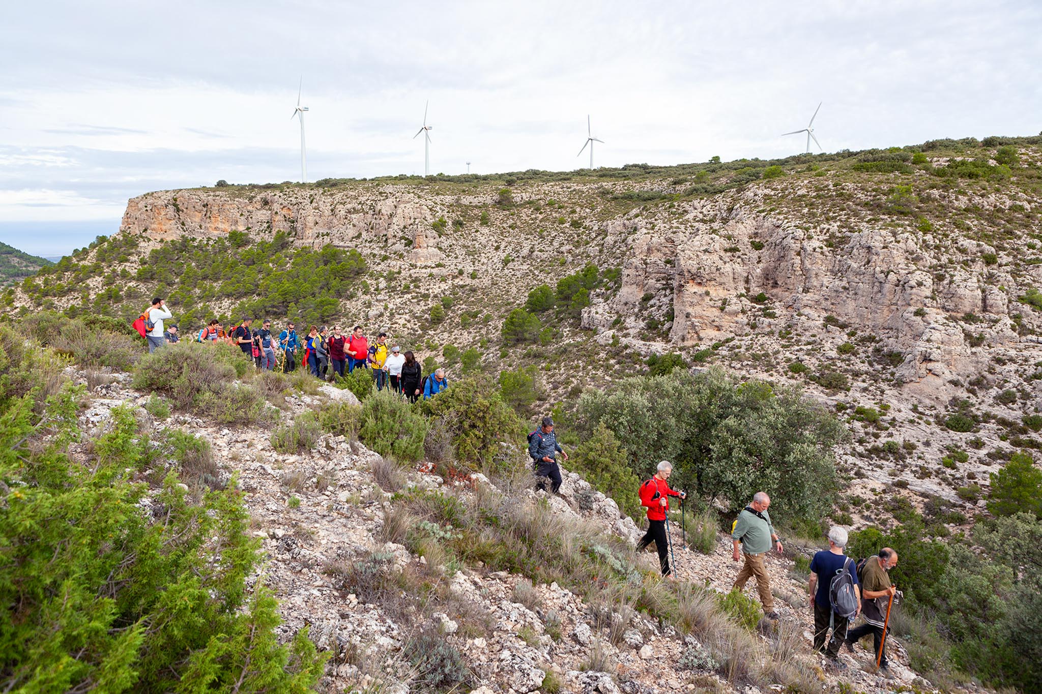 La Mancha Press_8797