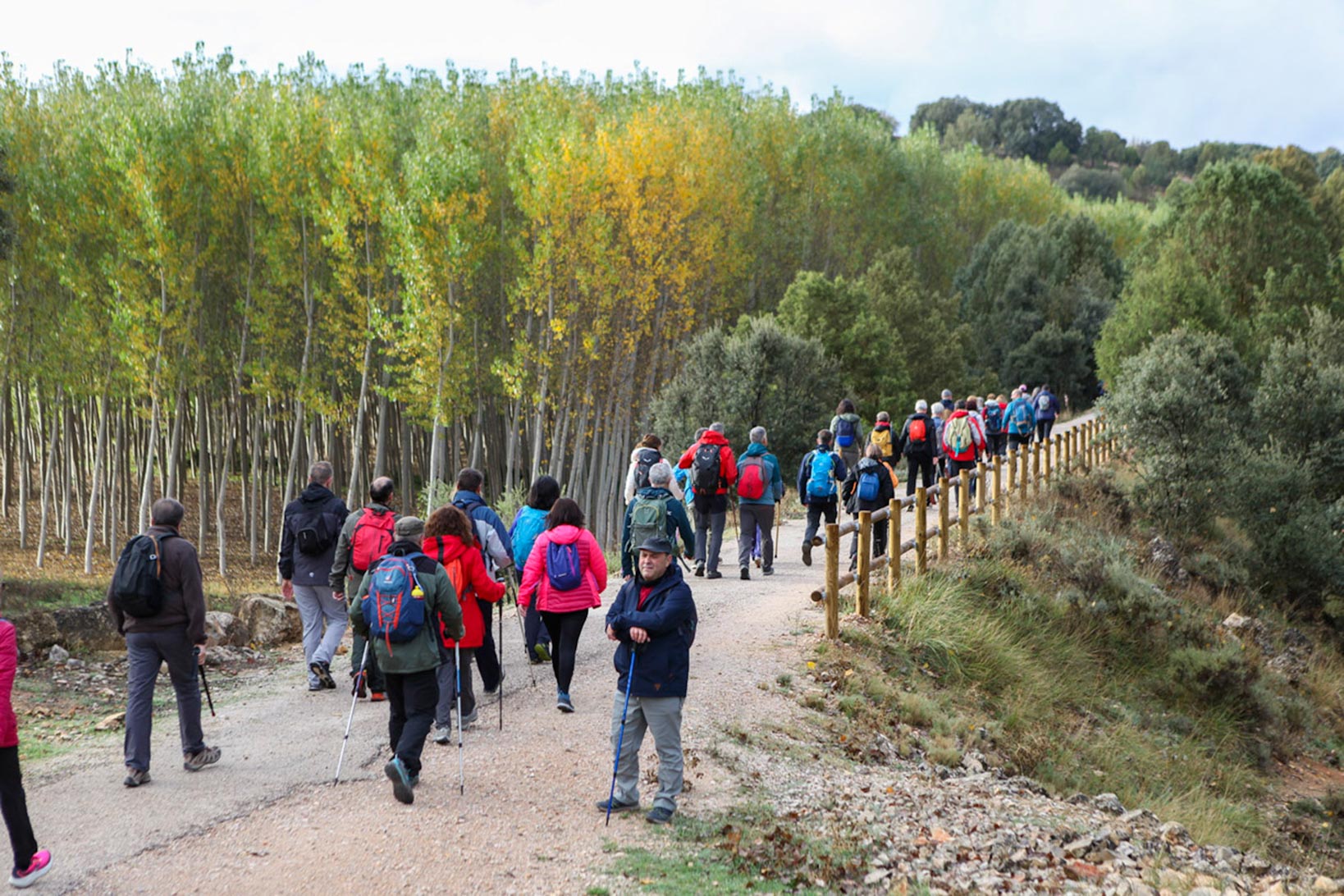 La Mancha Press_Cortes_9553