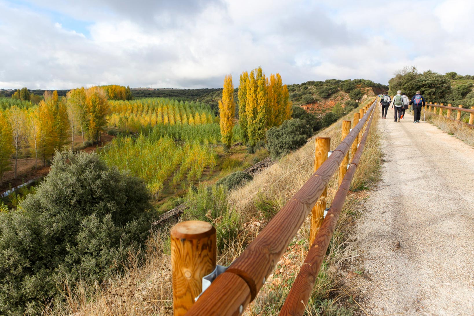 La Mancha Press_Cortes_9630