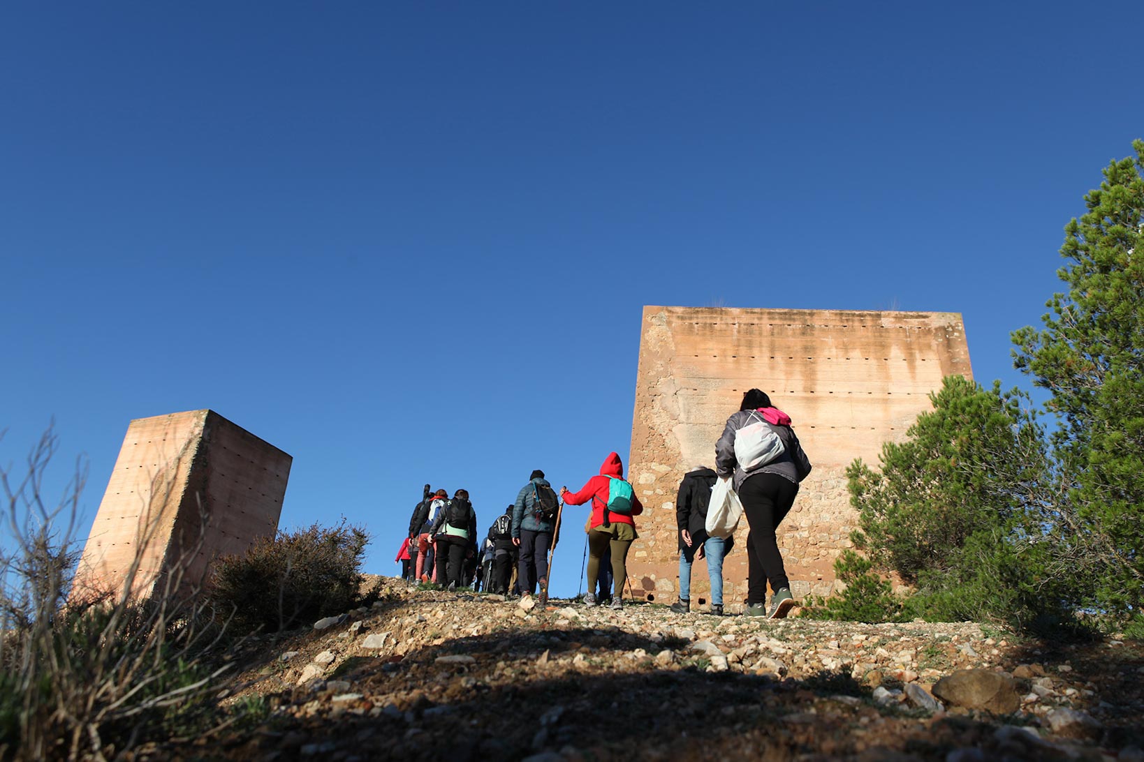 La Mancha Press_Montealegre del Castillo_9034