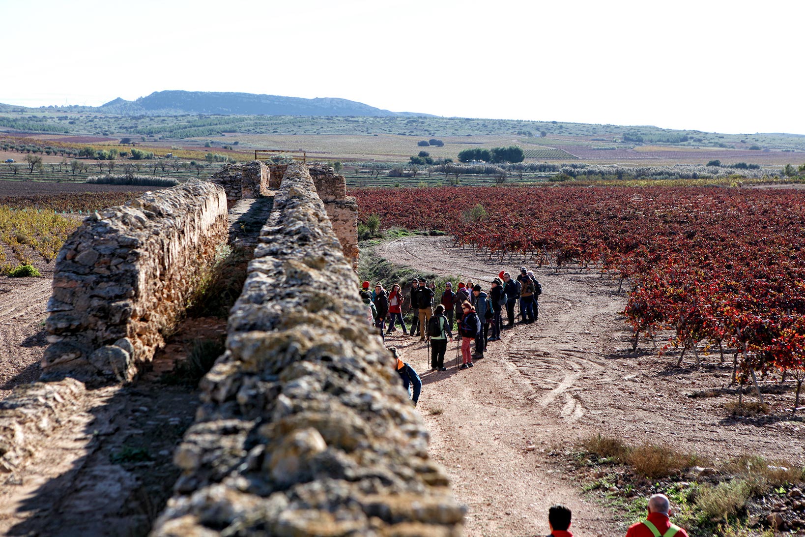 La Mancha Press_Montealegre del Castillo_9131